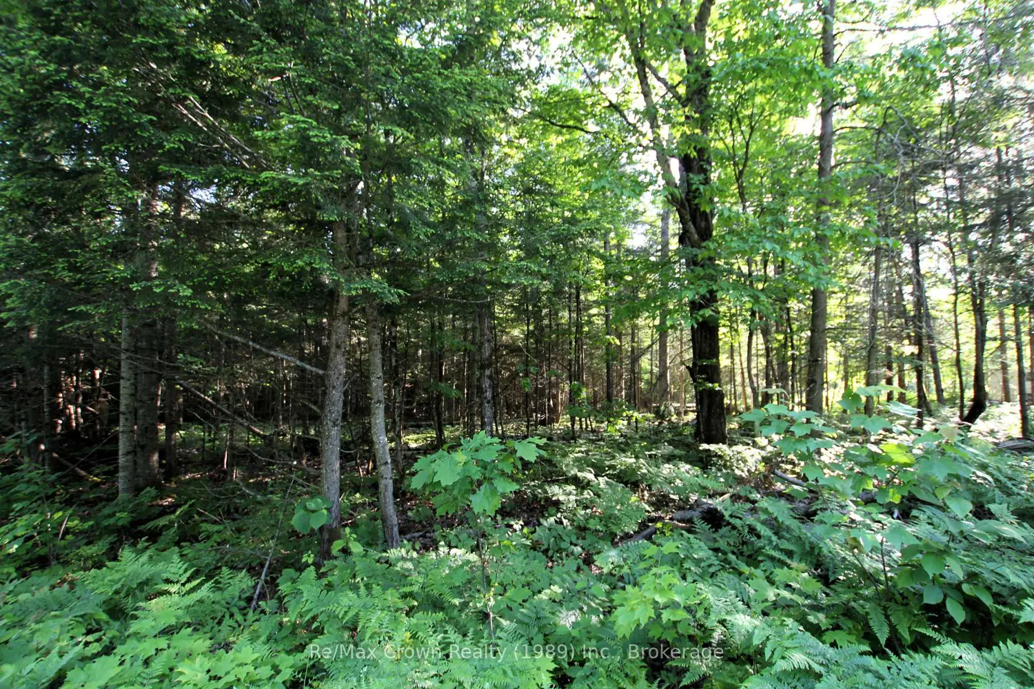 Additional image 9 of 453 Pilgers Road
