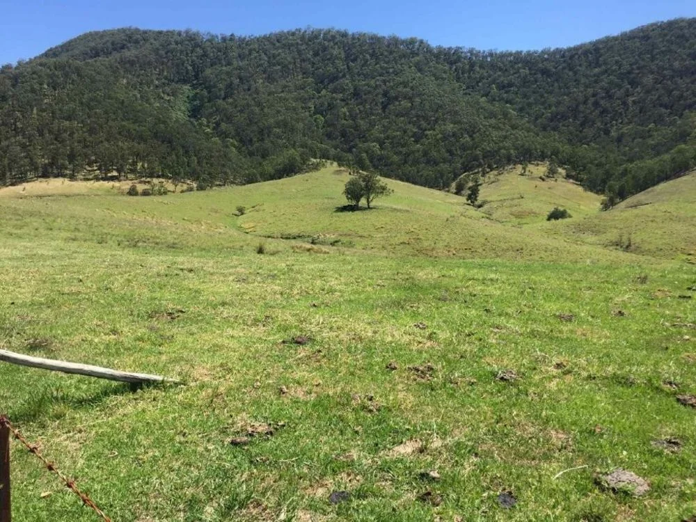 Additional image 7 of 7986 Kempsey Road, Lower Creek NSW 2440