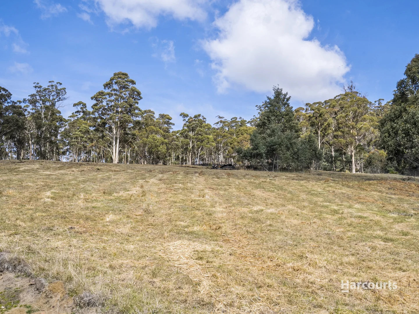 Additional image 13 of Lot 1/4115 Tasman Highway, Runnymede TAS 7190