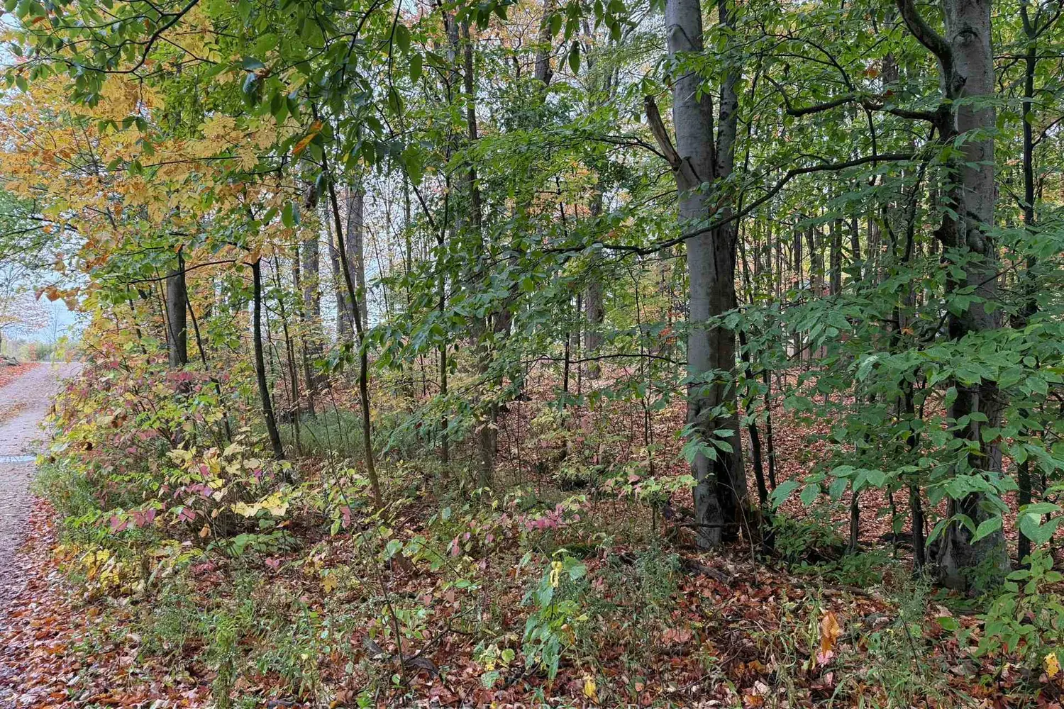 Additional image 13 of Lot 8 Green Acres Road