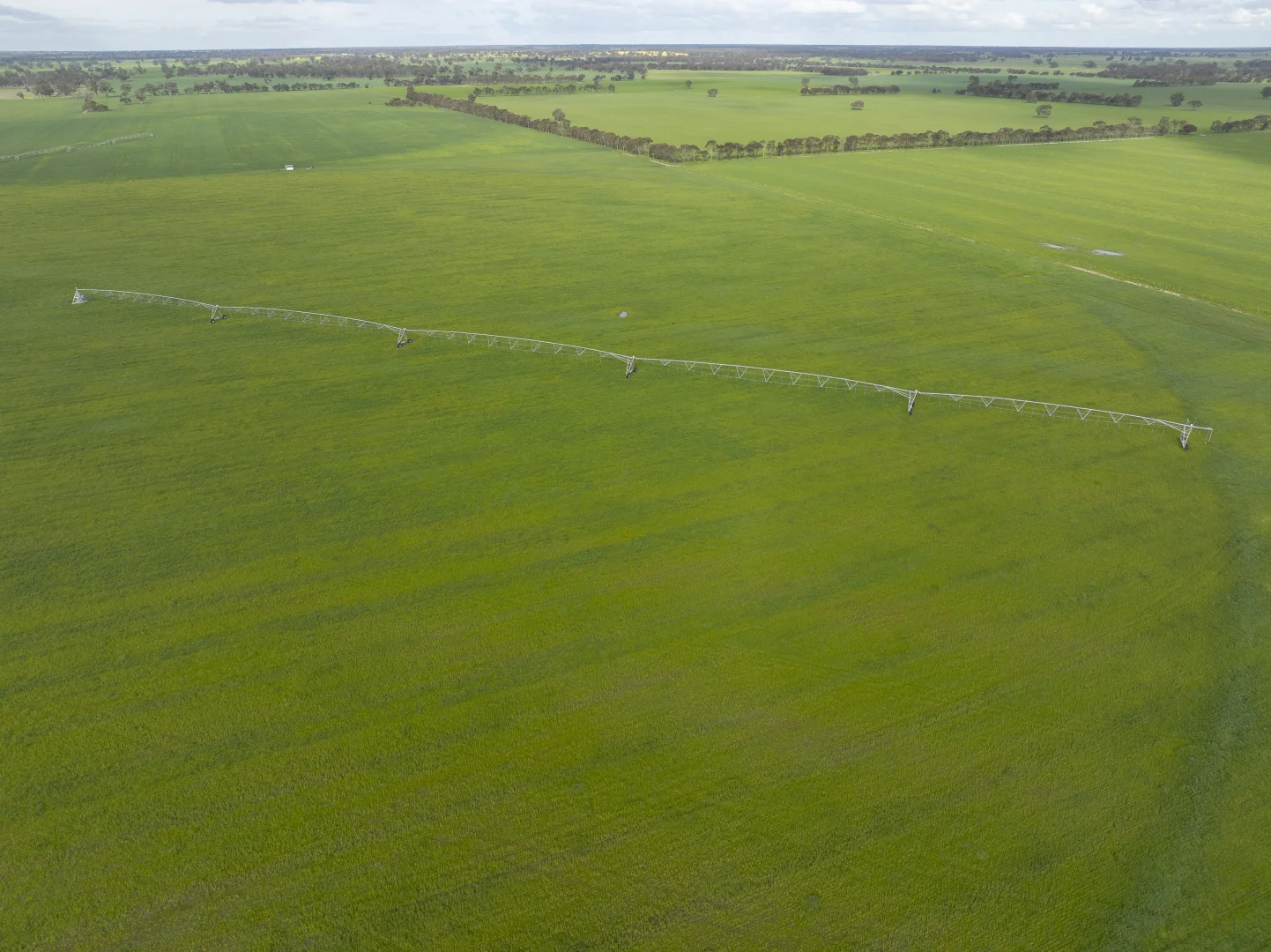 Additional image 7 of 1427 Naracoorte Road, Bordertown SA 5268