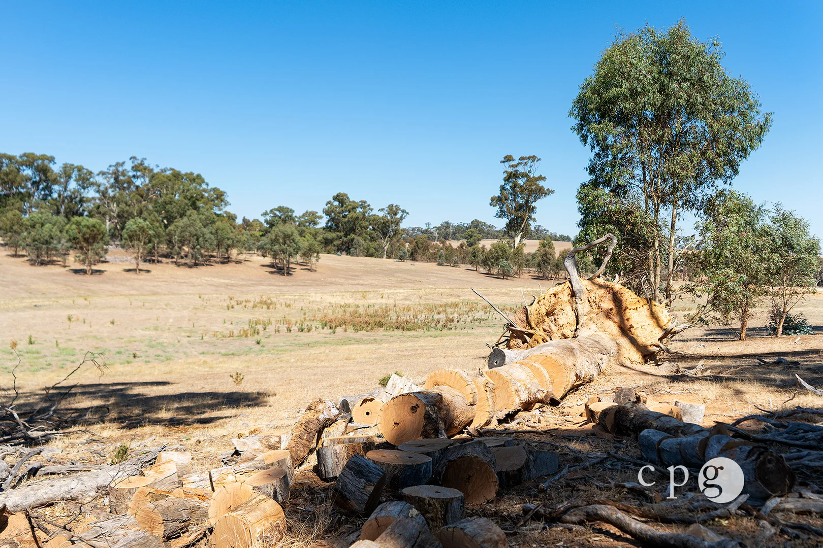 Additional image 16 of 221 Rodborough Road, Joyces Creek VIC 3364
