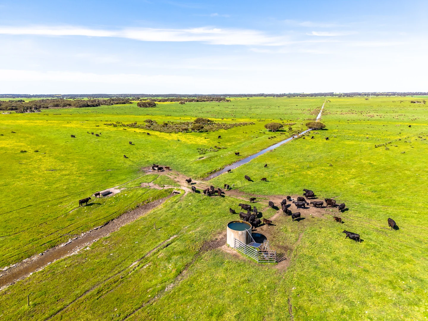 Additional image 31 of 641 Minnie Crowe Road, Avenue Range SA 5273