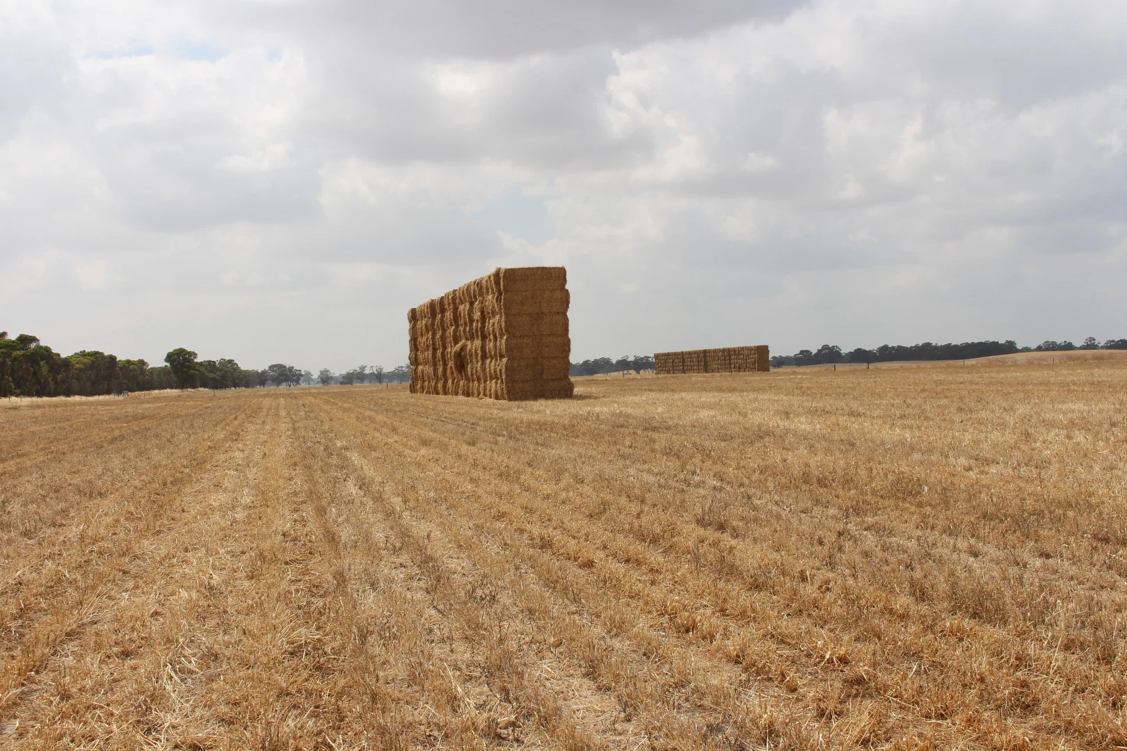 Additional image 5 of 1427 Naracoorte Road, Bordertown SA 5268