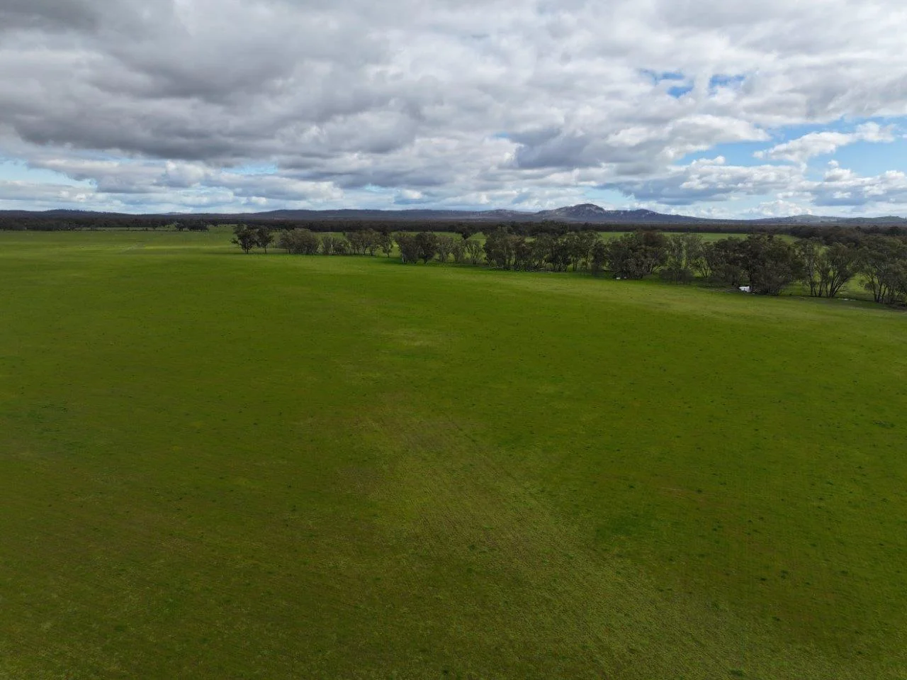 Additional image 12 of - Kurting Kingower Road, Kurting VIC 3517