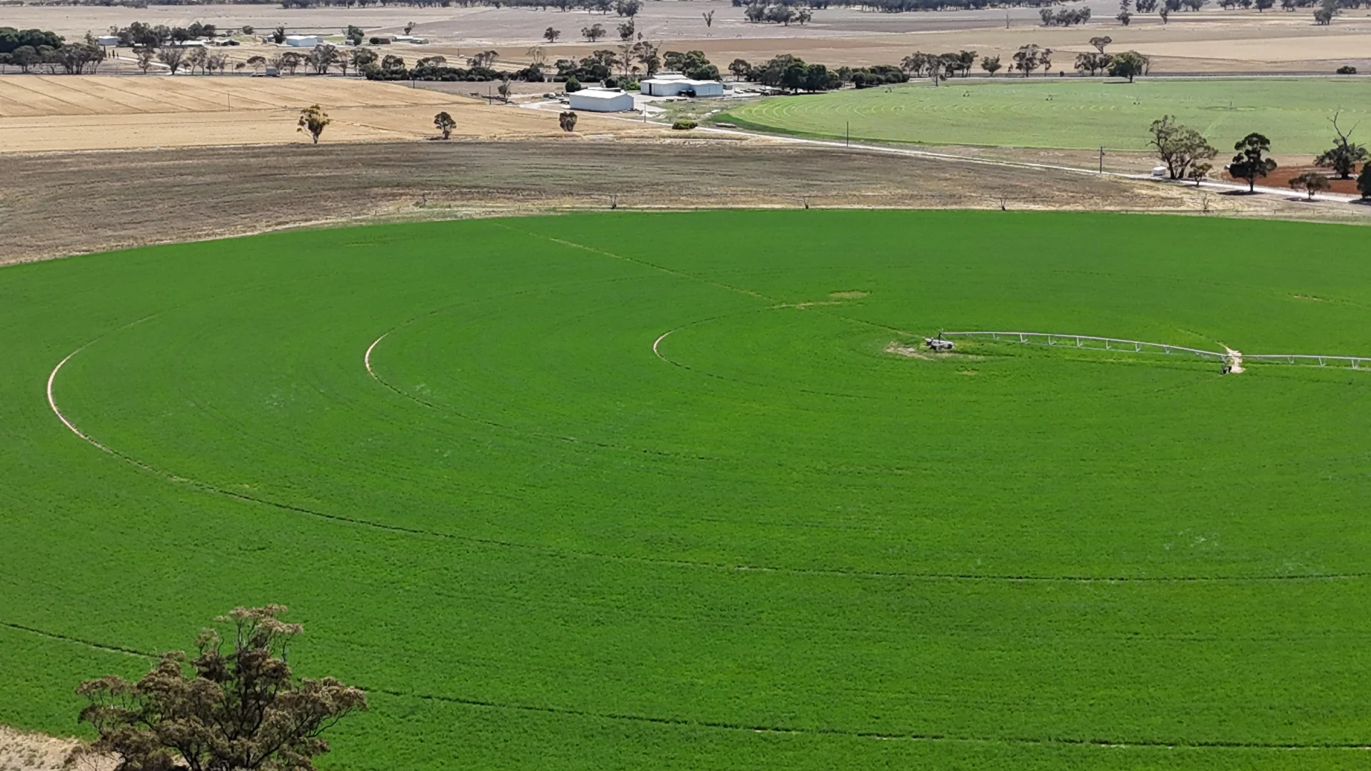 Additional image 5 of 16472 Dukes Hwy, Bordertown SA 5268