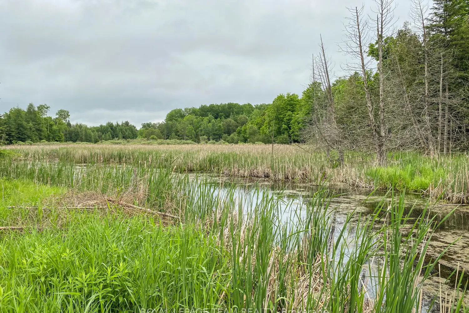 Additional image 5 of 1477 Watsons Corners Road