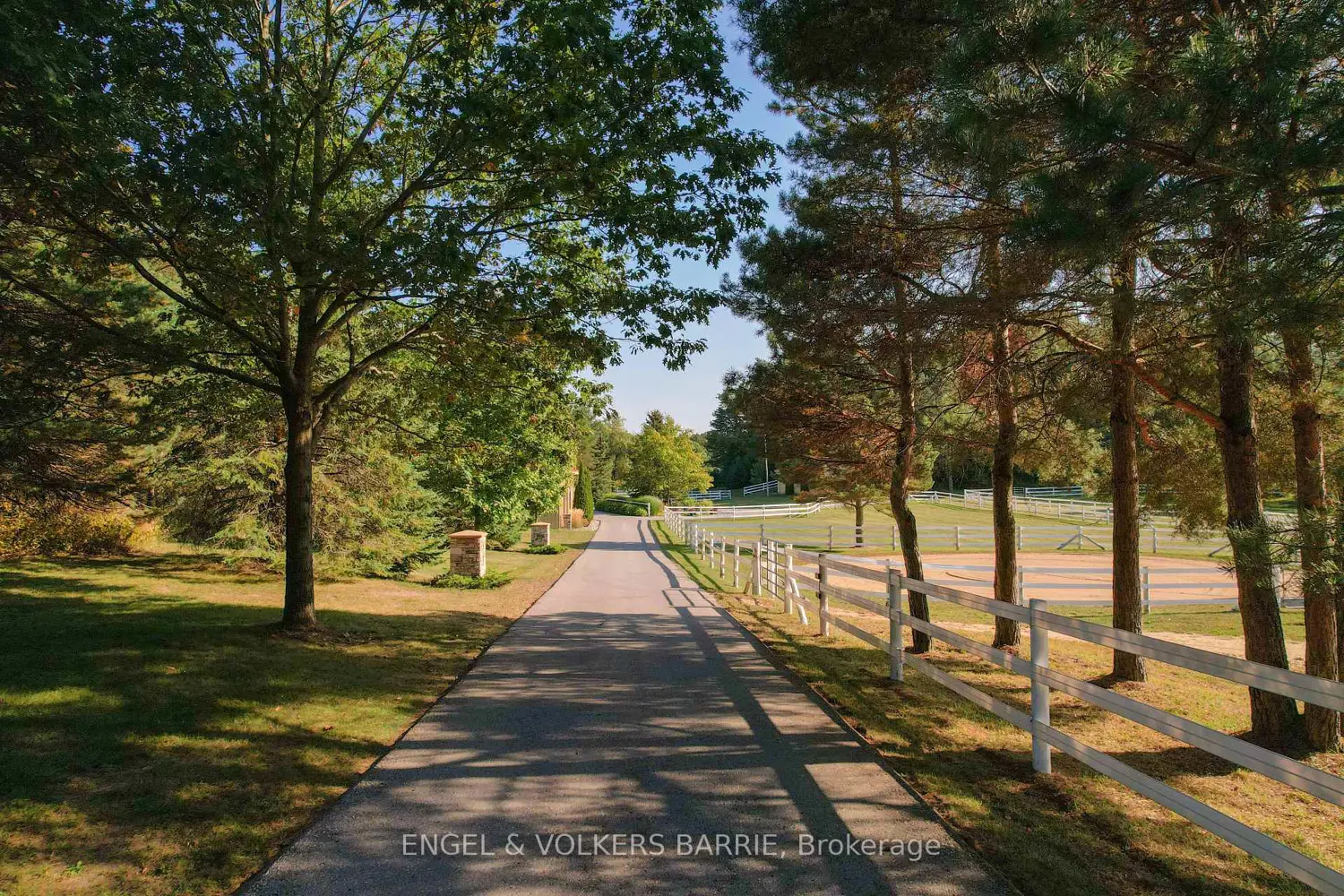 Additional image 2 of 419 Goodwood Road