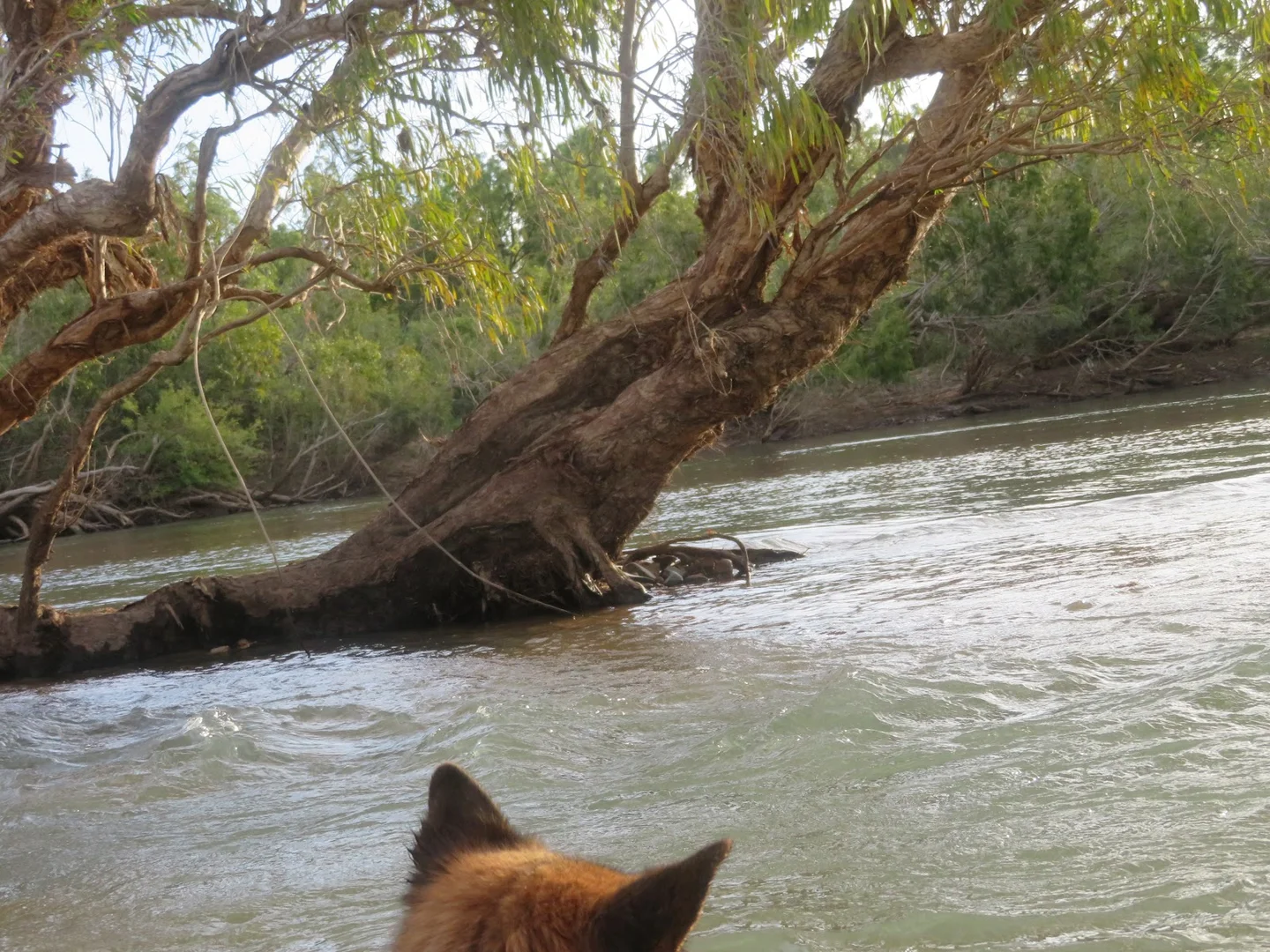 Additional image 71 of 2 Bolwarra Road, Chillagoe QLD 4871