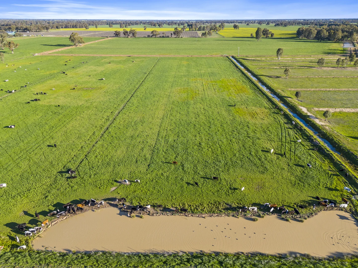 Additional image 6 of 210 Waser Road, Strathmerton VIC 3641