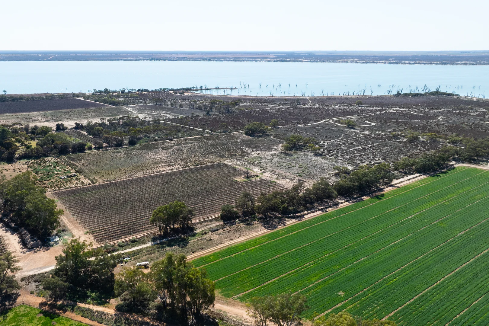 Additional image 5 of Lot 12 Dansie Road, Barmera SA 5345