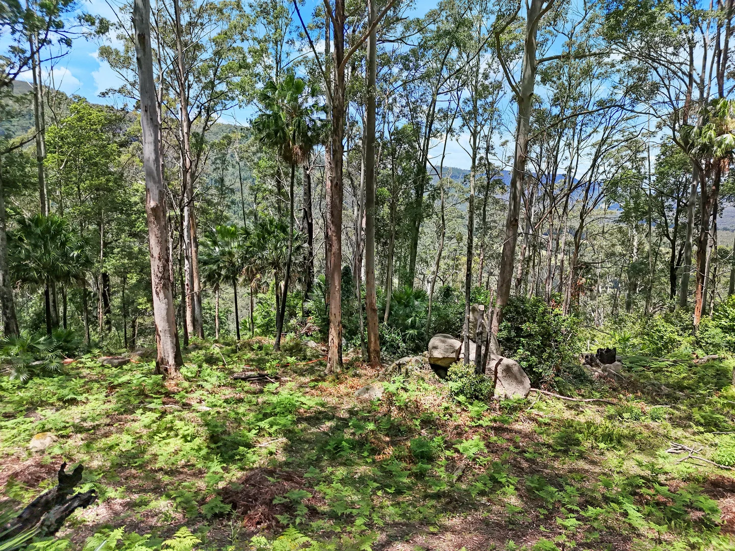Additional image 8 of 826 Mount Scanzi Road, Kangaroo Valley NSW 2577
