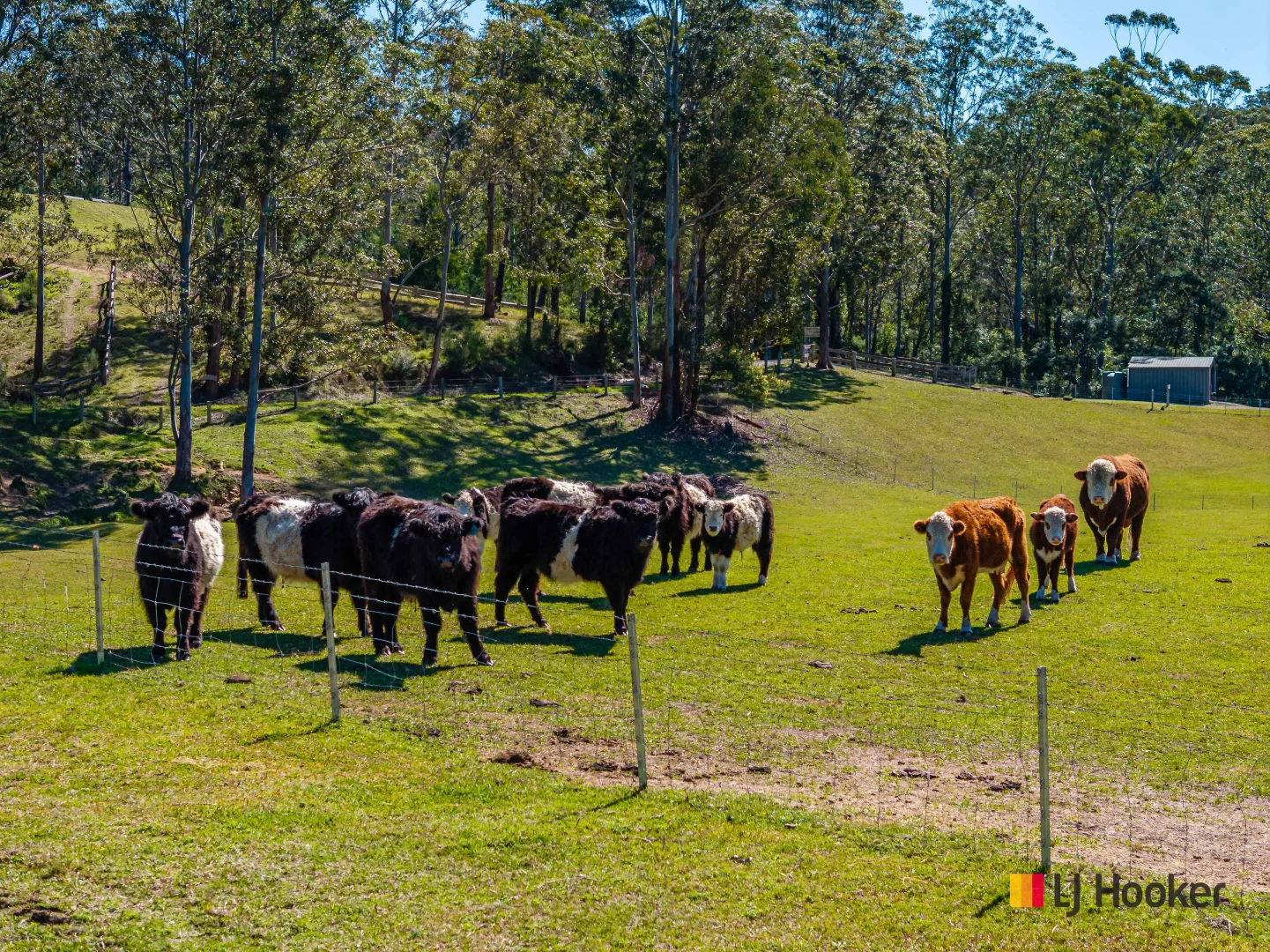 Additional image 25 of 3032 The River Road, Currowan NSW 2536
