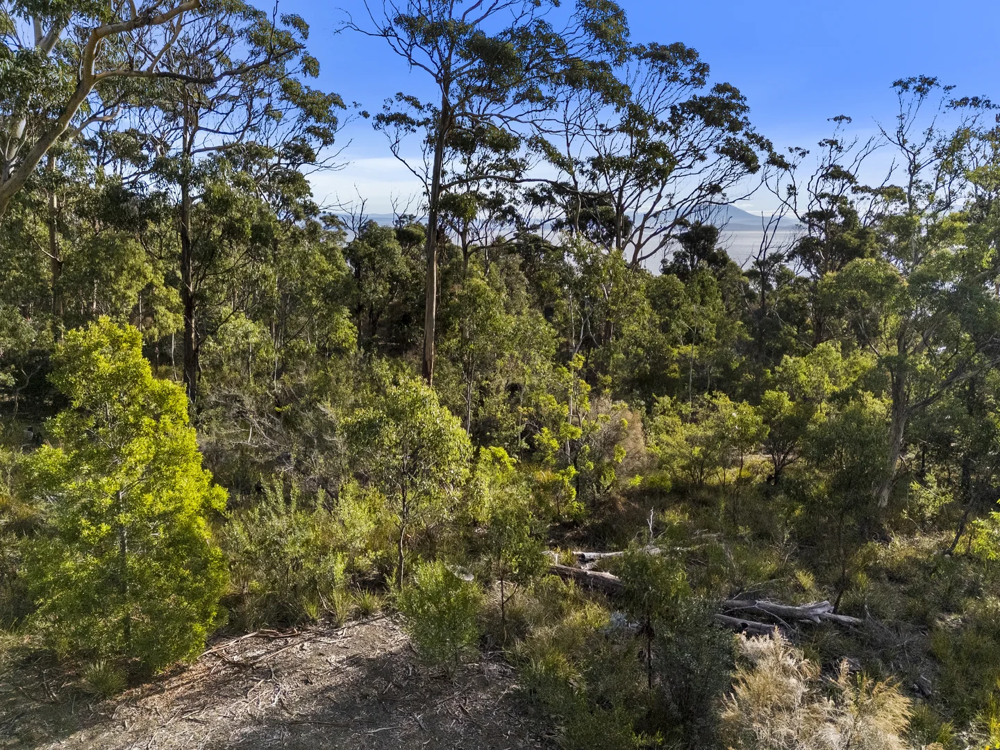 Additional image 9 of 573 White Beach Road, White Beach TAS 7184