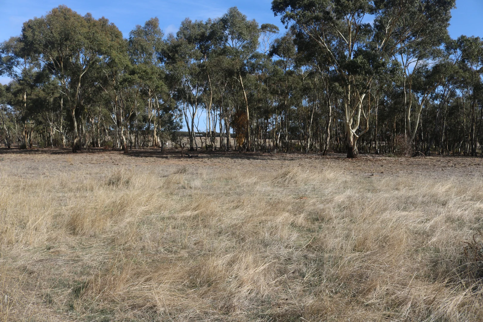 Additional image 7 of Old Boort Road, Wedderburn VIC 3518
