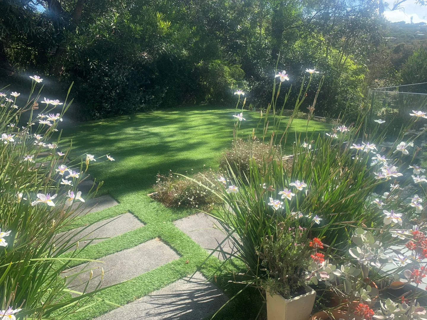 Additional image 29 of 83 Noble Street, Anglesea VIC 3230