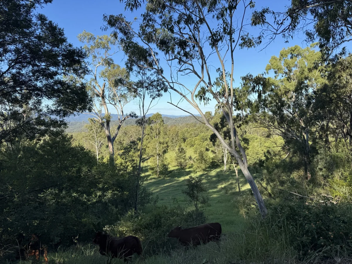 Additional image 28 of 845 Fireclay Road, Kalpowar QLD 4630