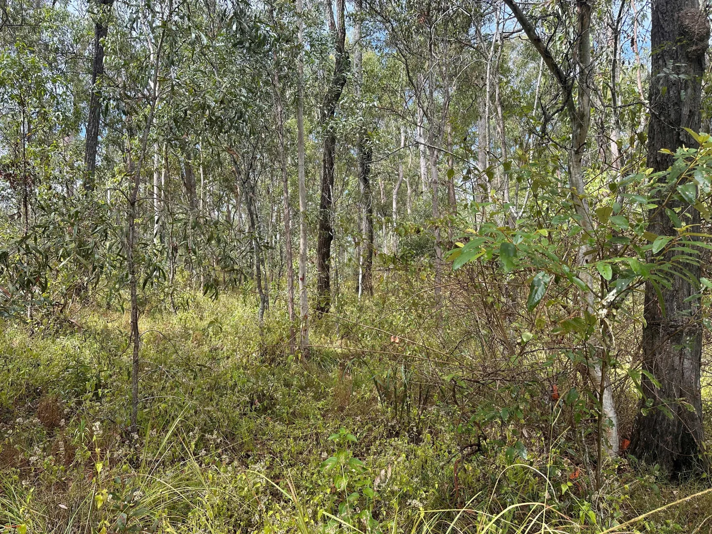 Additional image 8 of Lot 753 Arbortwenty eight, Glenwood QLD 4570