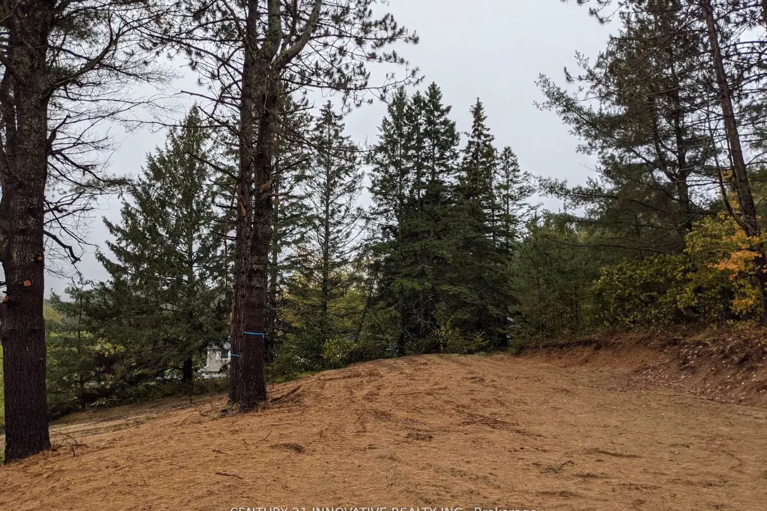 Additional image 3 of 57 Bird Lake Road
