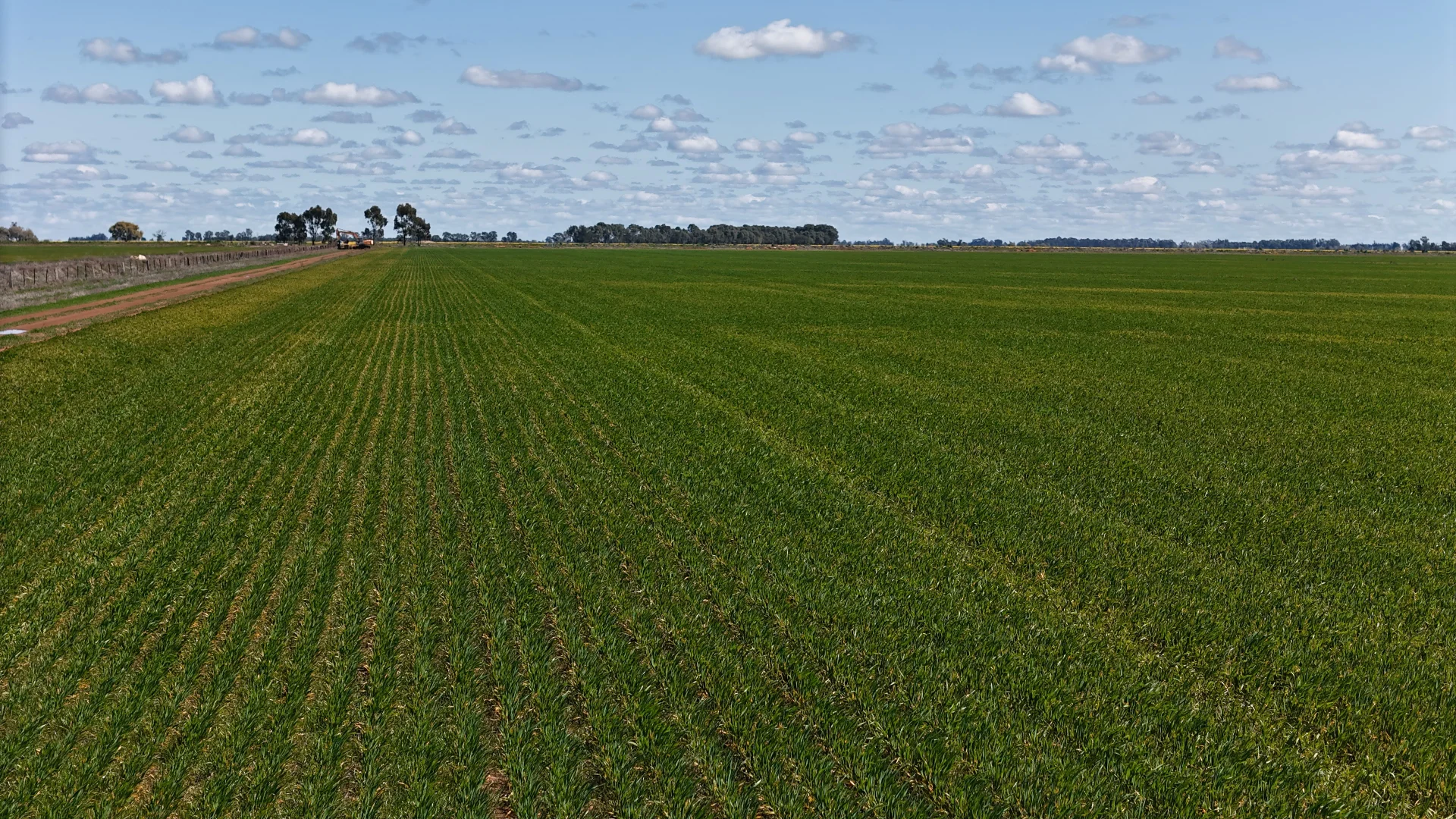 Additional image 11 of 69-70 Leonard Road, Coleambally NSW 2707