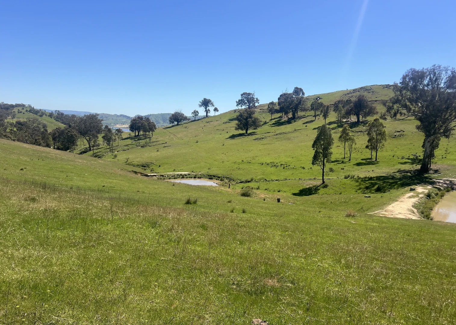 Additional image 4 of 557 Georges Creek Road, Talgarno VIC 3691