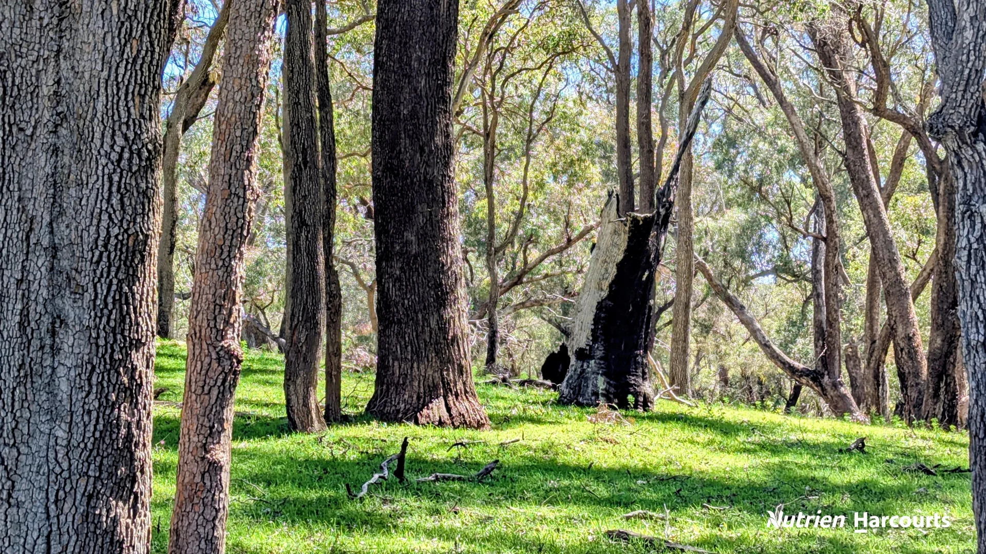 Additional image 20 of Lot 53 Cowalla Road, Cowalla WA 6503