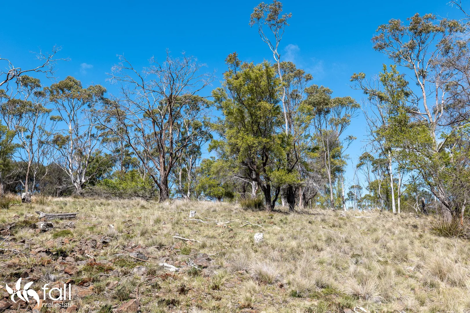 Additional image 11 of 402 Bruny Island Main Road, North Bruny TAS 7150