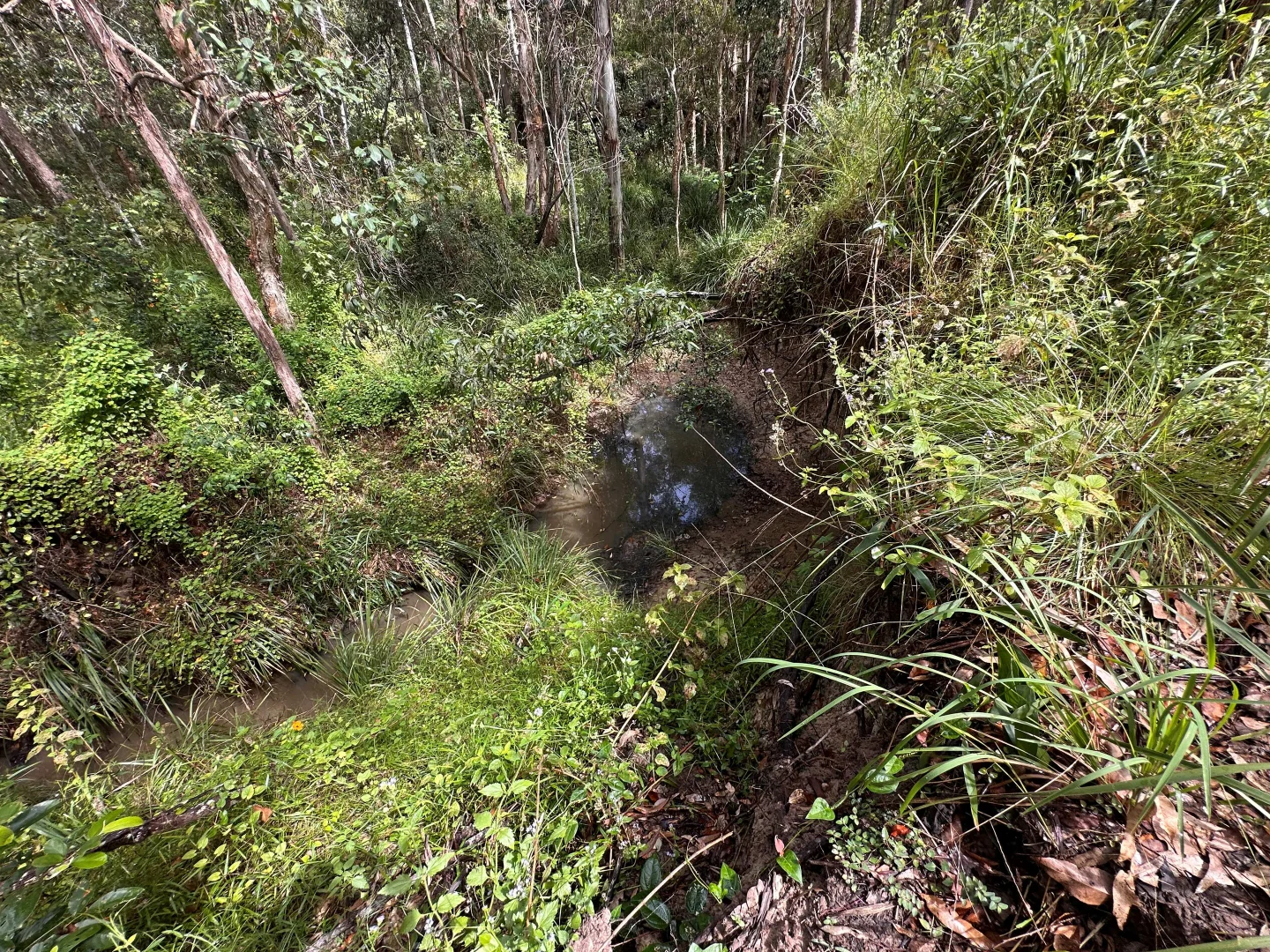Additional image 11 of Lot 753 Arbortwenty eight, Glenwood QLD 4570