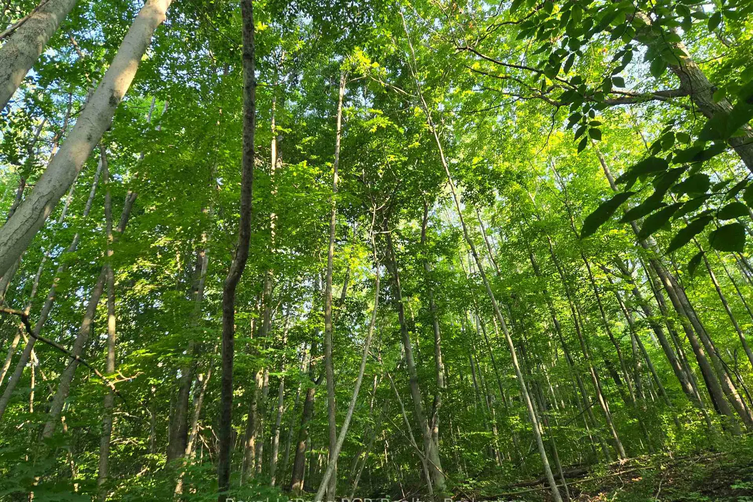 Additional image 5 of 130 Old Highway 26 Highway