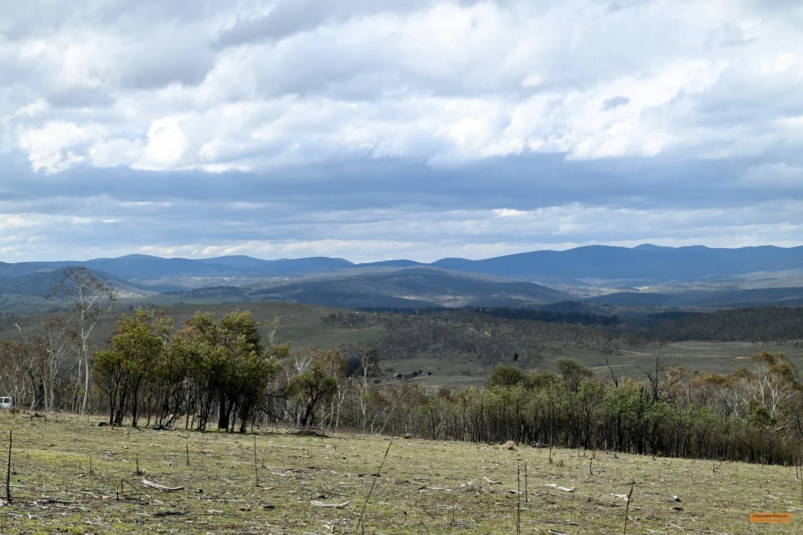 Additional image 3 of "Eagle Heights" 636 Caddigat Road, Dry Plain NSW 2630