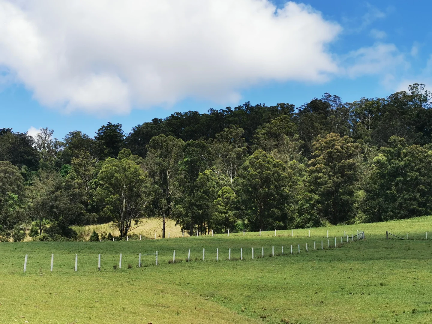 Additional image 23 of 5611 Oxley Highway, Ellenborough NSW 2446