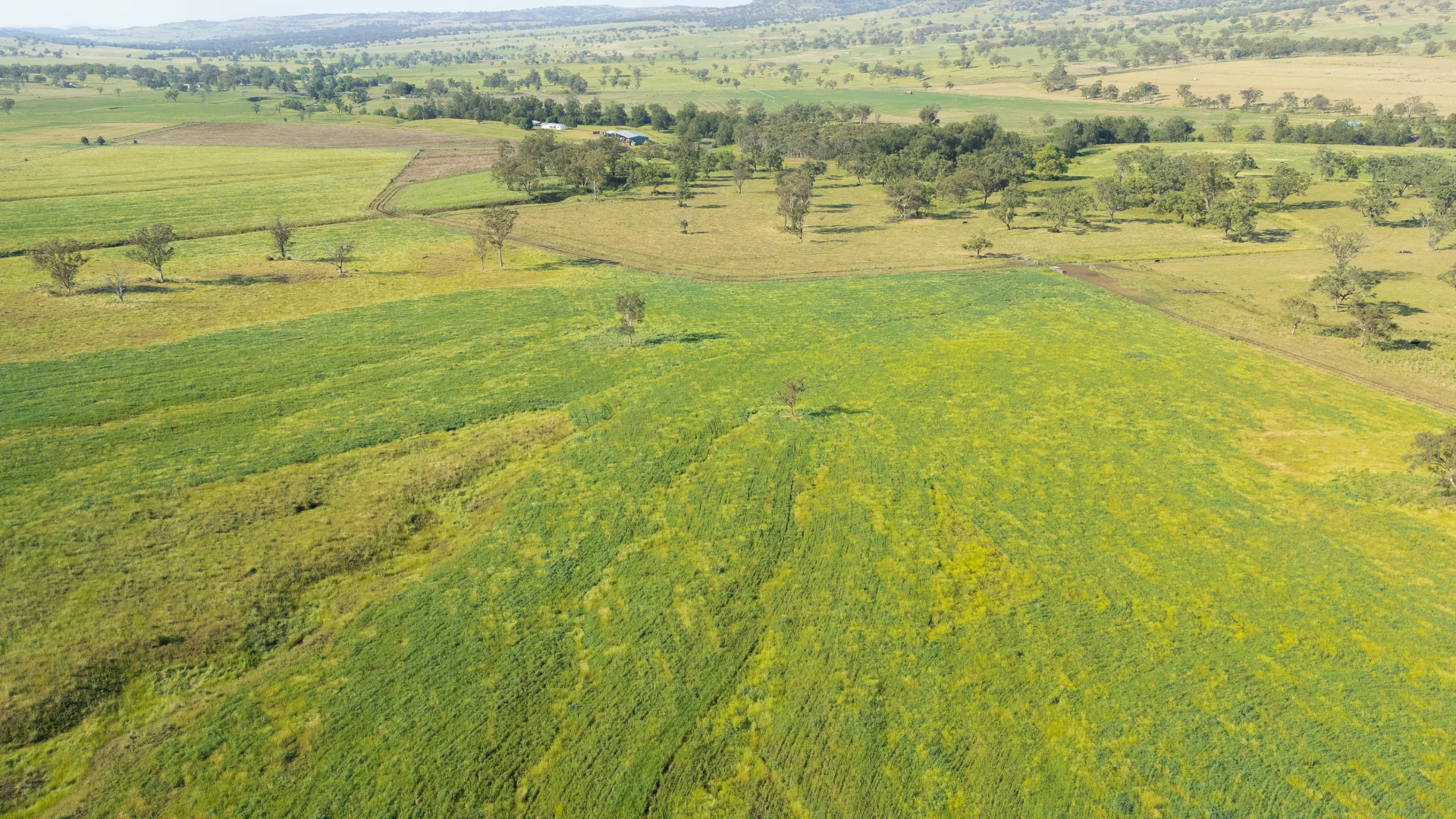 Additional image 4 of 'Kierahmee' 53 Tyrone Rd, Bunnan via, Scone NSW 2337