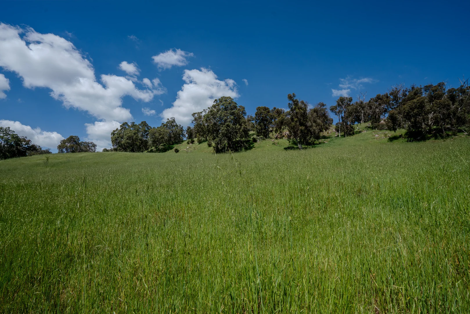 Additional image 6 of North Dandalup WA 6207