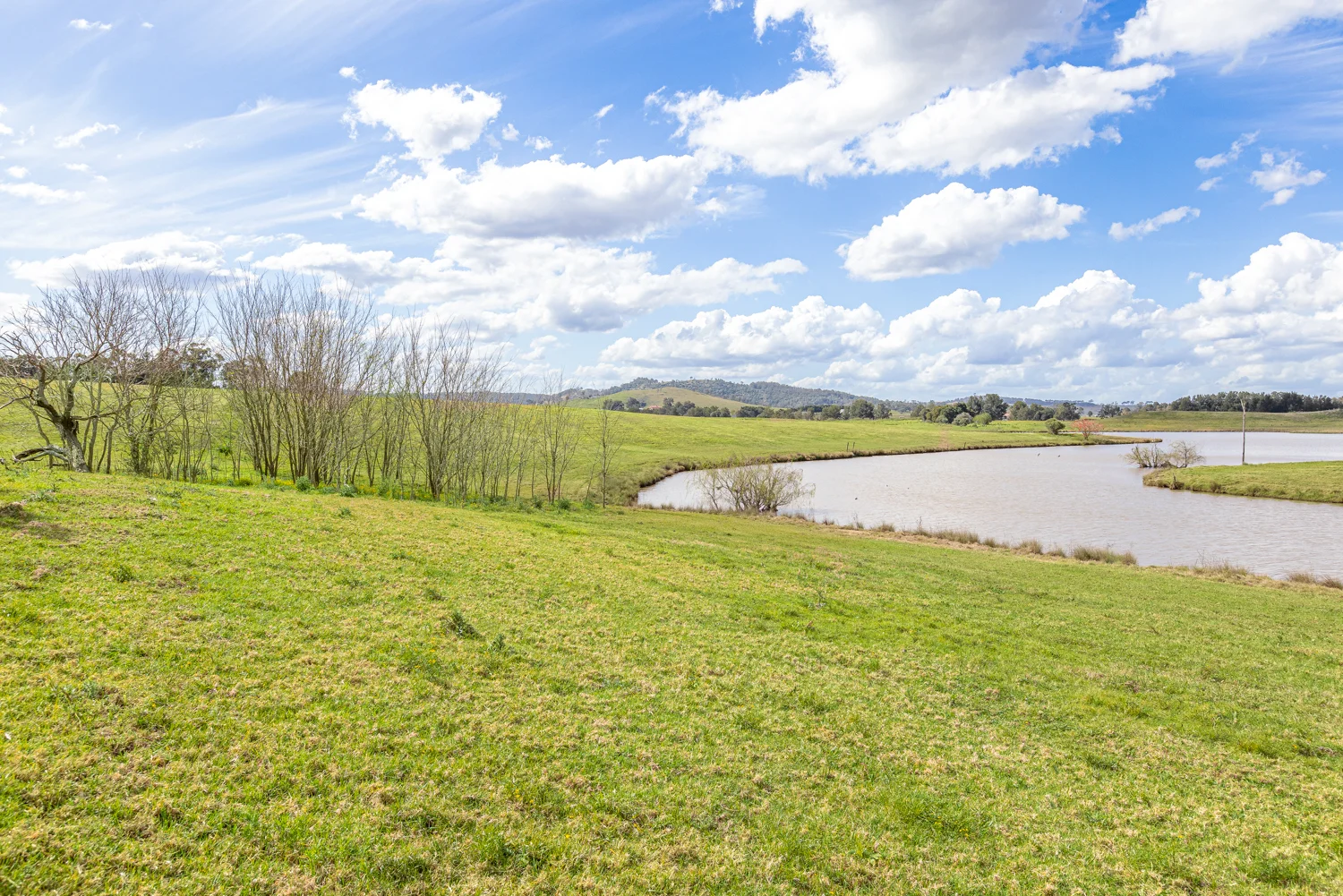 Additional image 7 of Anambah NSW 2320