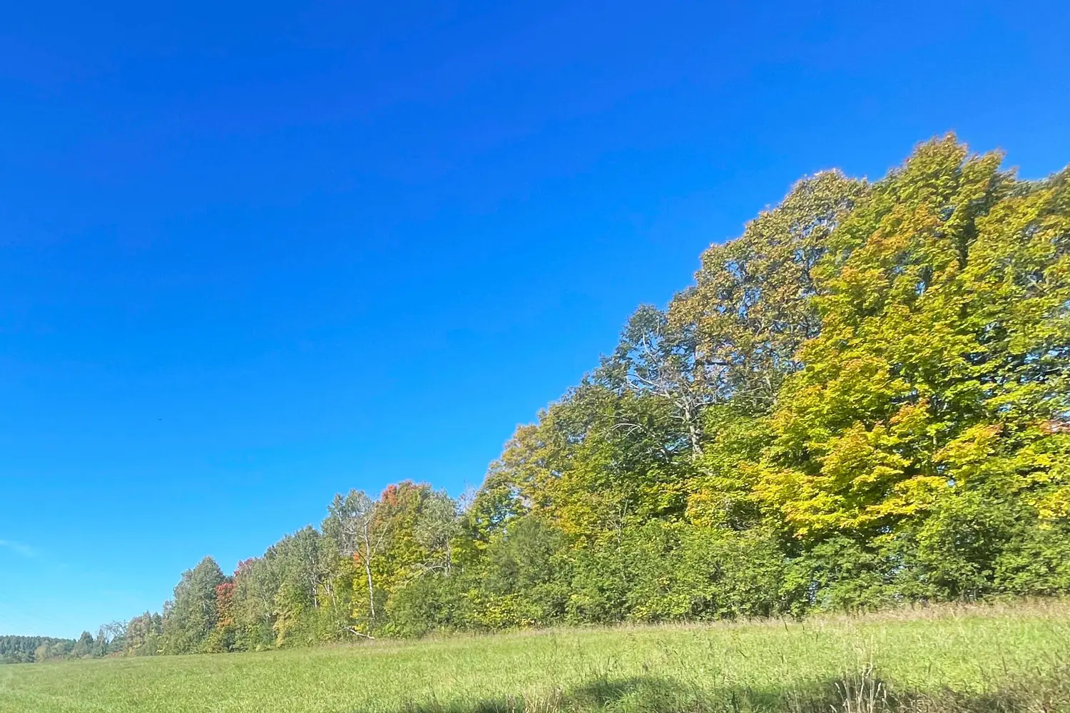 Additional image 8 of 00 Jamieson Road Lot C