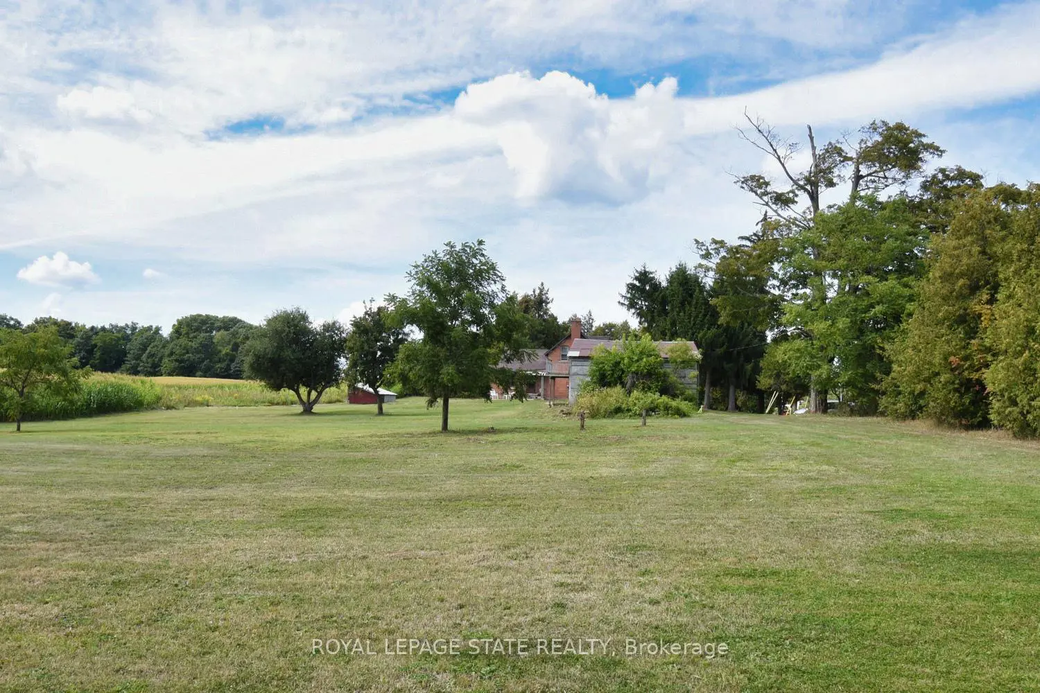 Additional image 13 of 8125 Dickenson Road