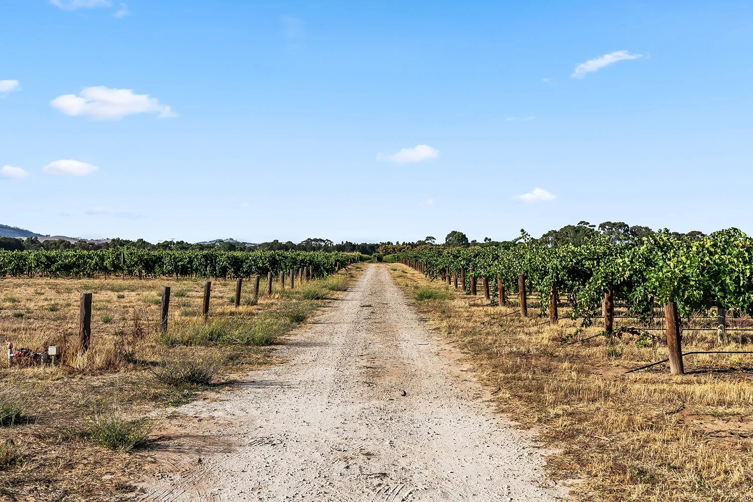 Additional image 19 of 14 Vine Vale Road, Tanunda SA 5352