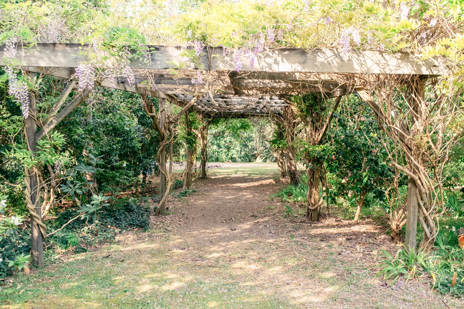 Additional image 36 of 11 Weemala Crescent, Bawley Point NSW 2539