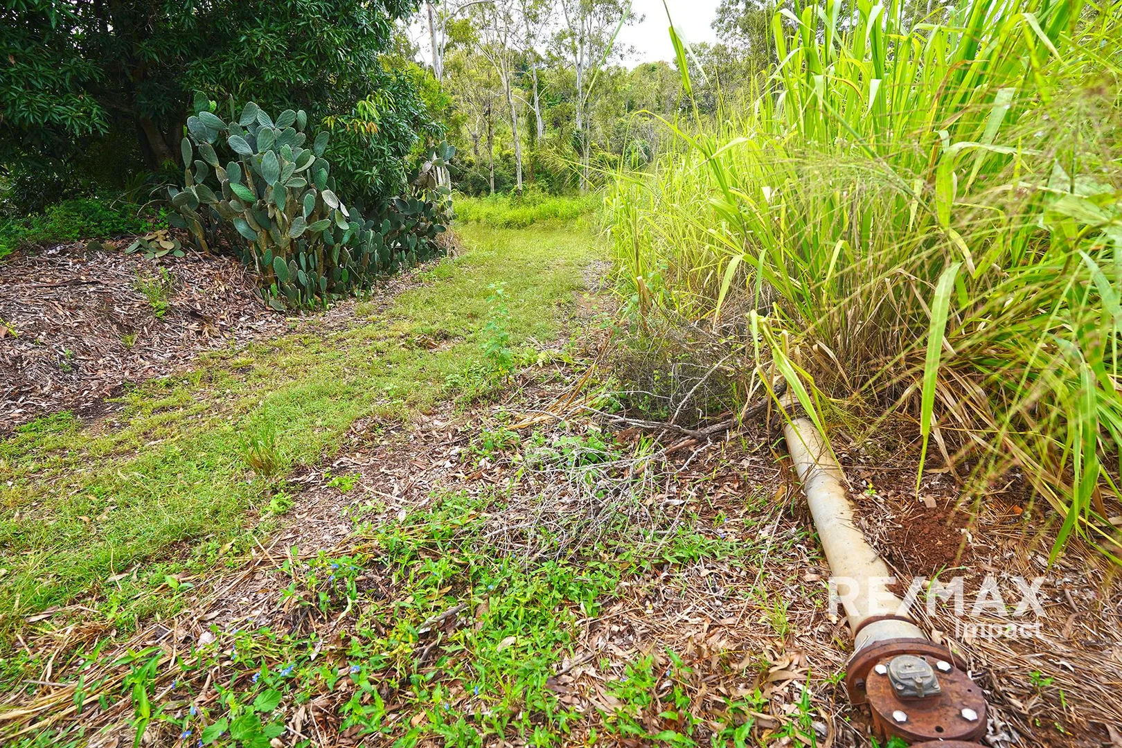 Additional image 12 of 54 Studt Road, Mareeba QLD 4880