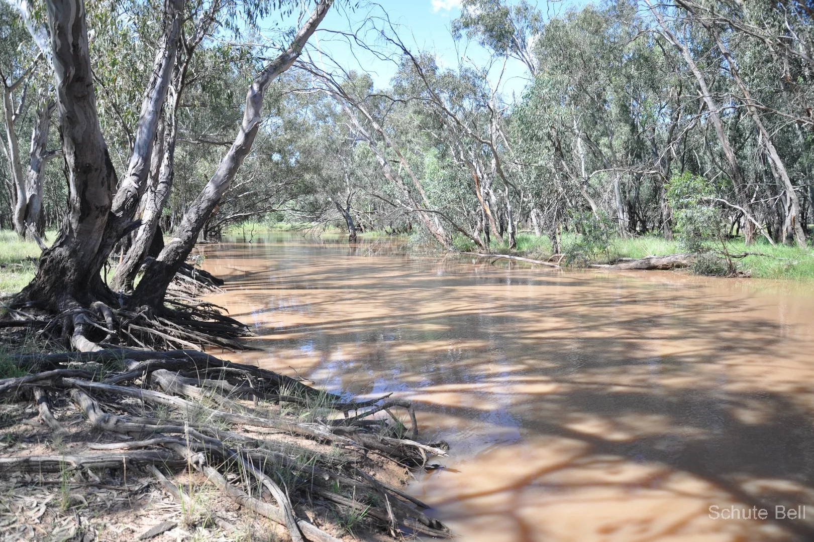 Additional image 4 of 195 Curra Lane, Peak Hill NSW 2869