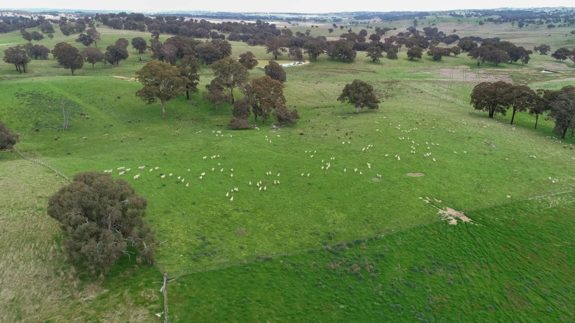 Additional image 6 of 674 Kangaloolah Road, Binda NSW 2583