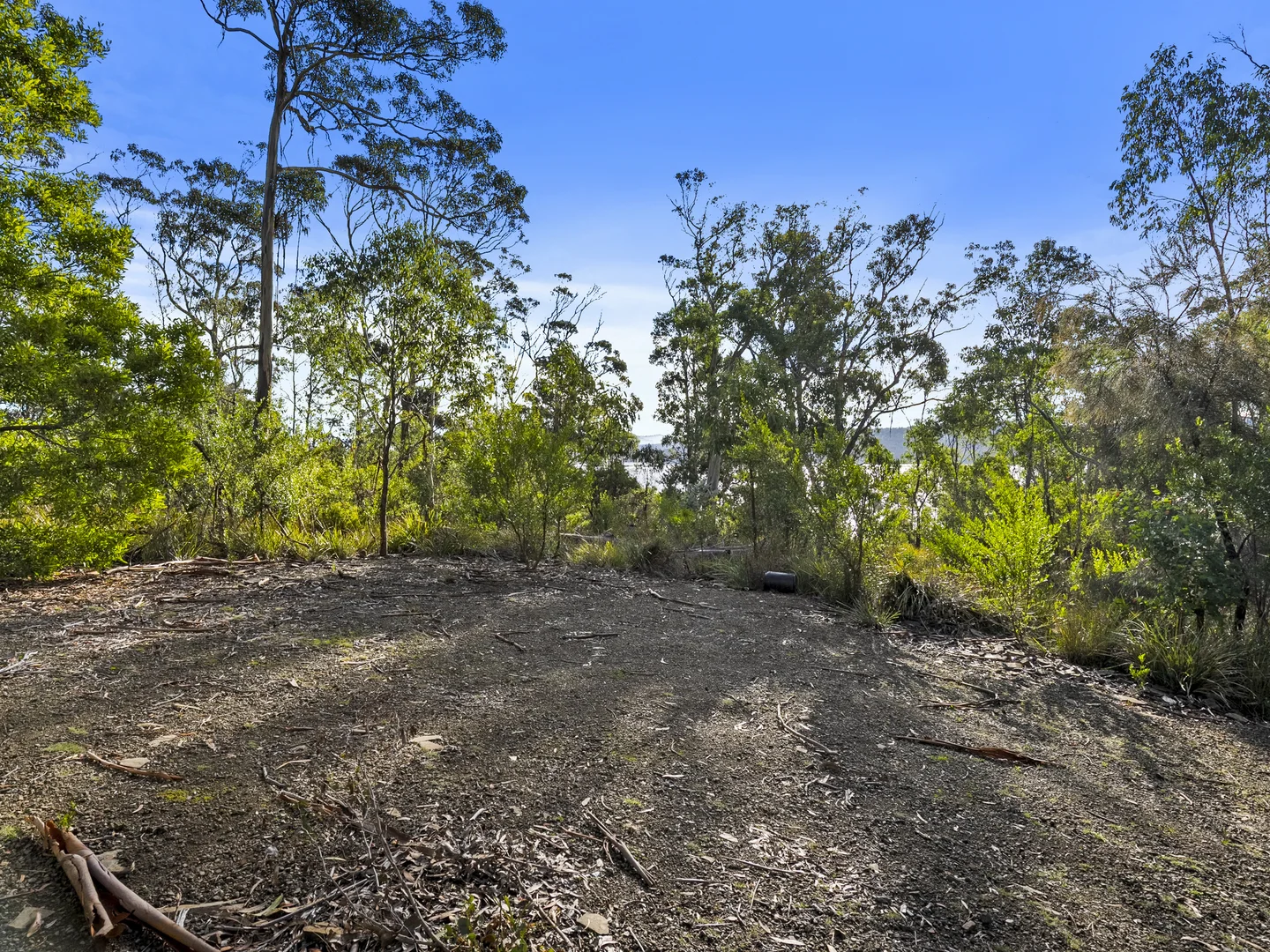 Additional image 14 of 573 White Beach Road, White Beach TAS 7184