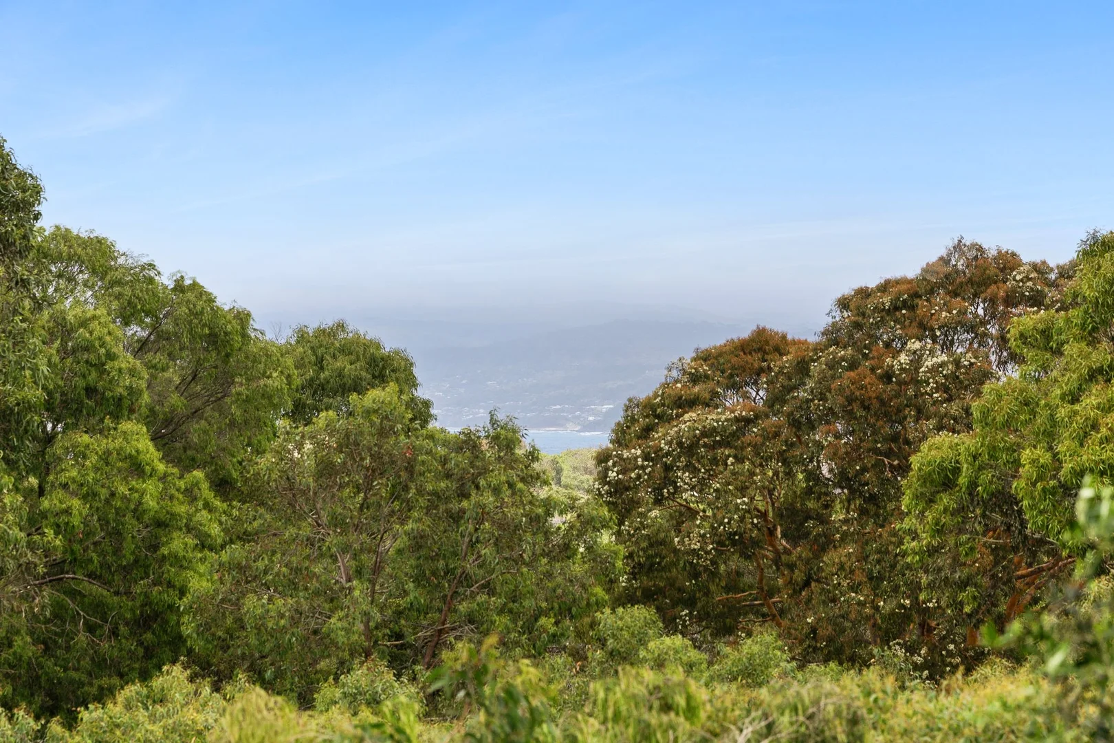 Additional image 20 of 33 Old Coach Road, Moggs Creek VIC 3231