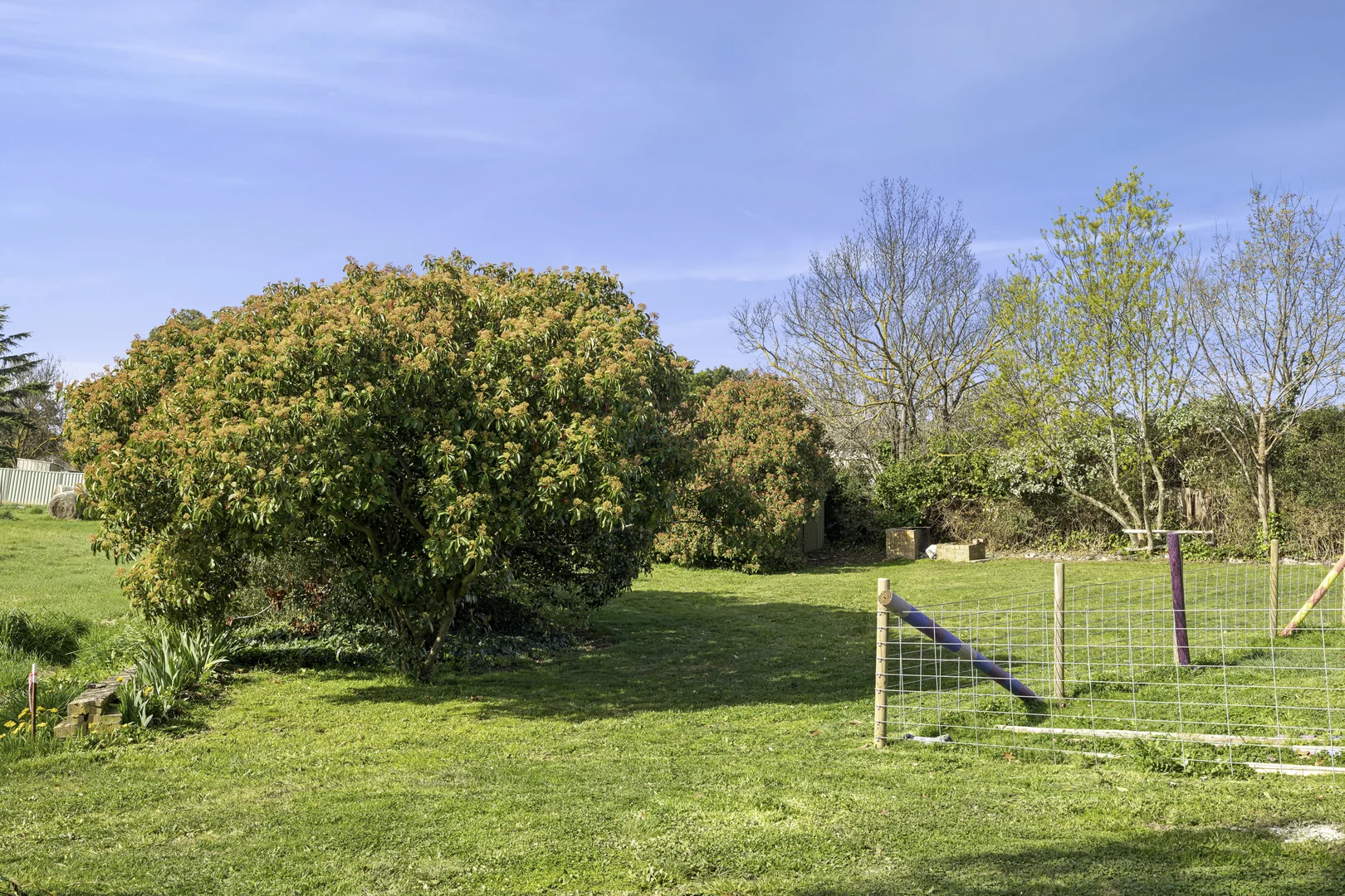 Additional image 5 of 1/PS917024/61 Talbot Road, Clunes VIC 3370