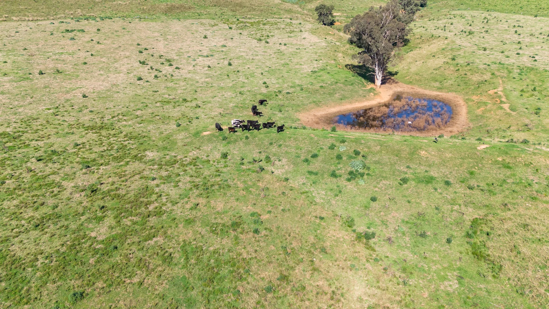 Additional image 14 of 180 Stoney Creek Rd, Rouchel via, Aberdeen NSW 2336