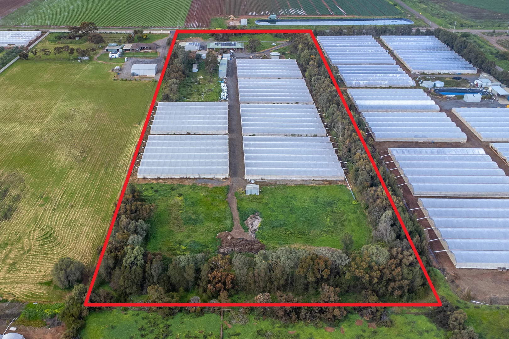 Additional image 21 of 206 Thompson Road, Buckland Park SA 5120