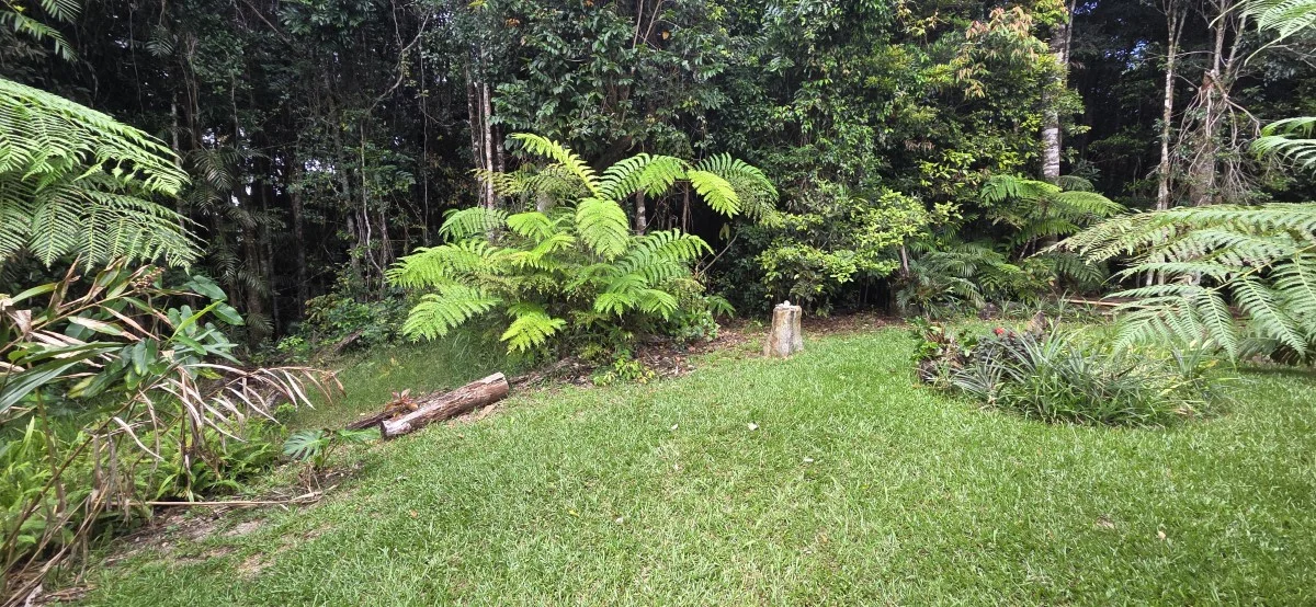Additional image 23 of 6 Lennox Crescent, Paluma QLD 4816