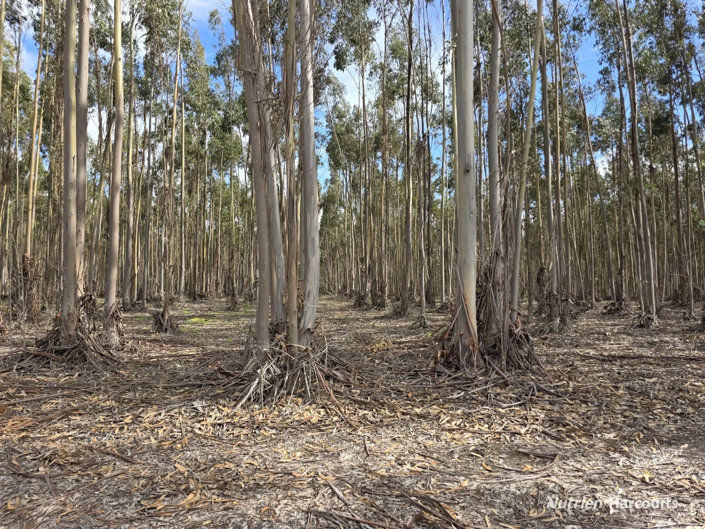 Additional image 5 of 1458 Palmdale Road, Palmdale WA 6328
