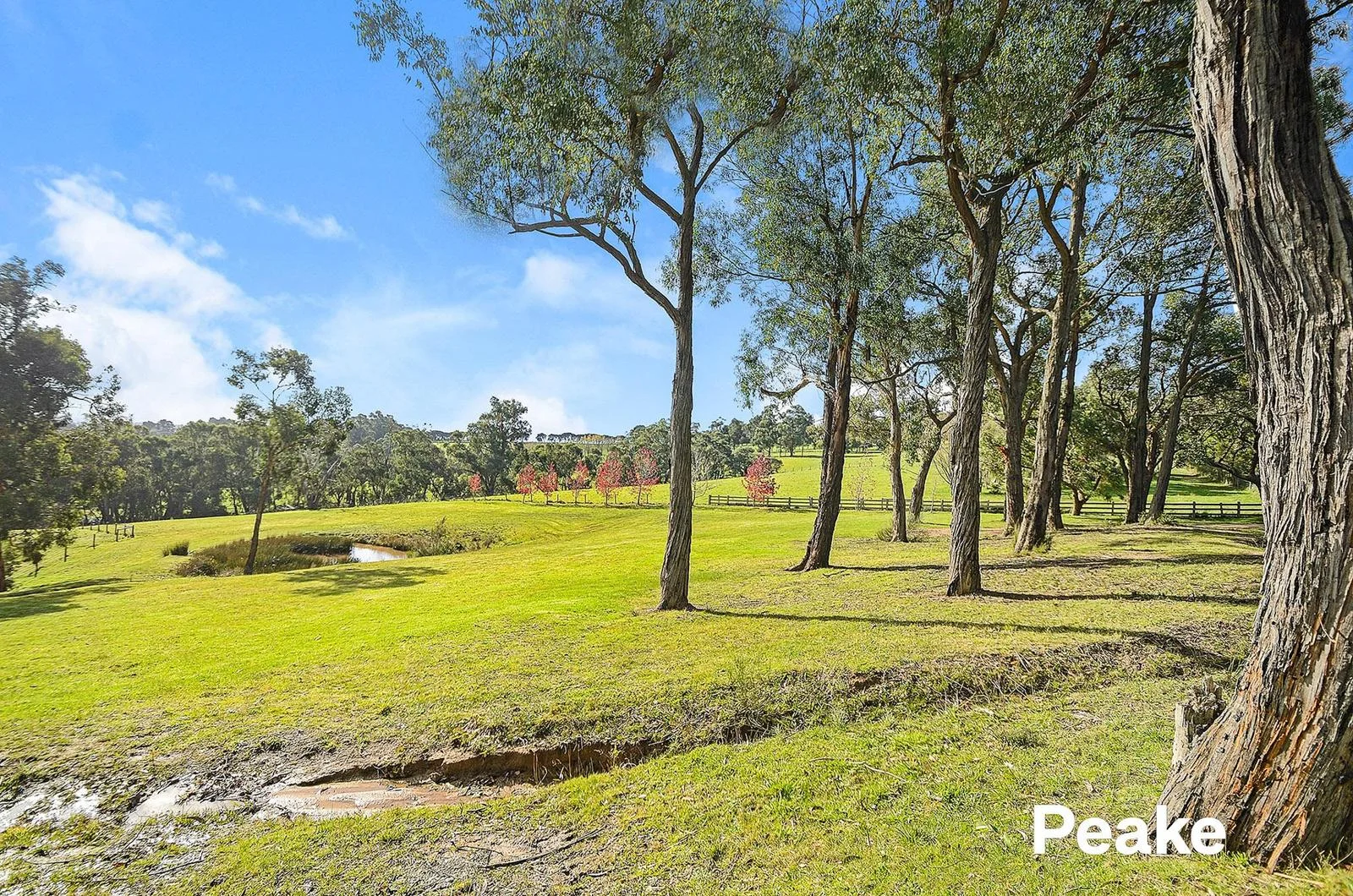 Additional image 4 of 78 Foott Road, Beaconsfield Upper VIC 3808