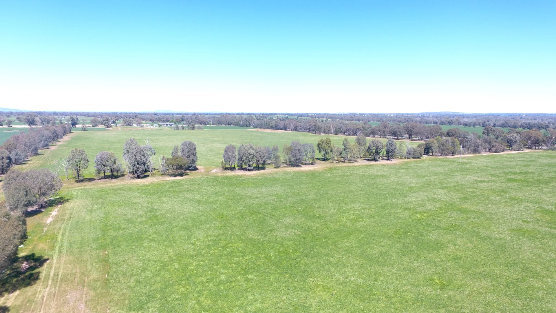 Additional image 6 of 0 Olympic Highway, Henty NSW 2658